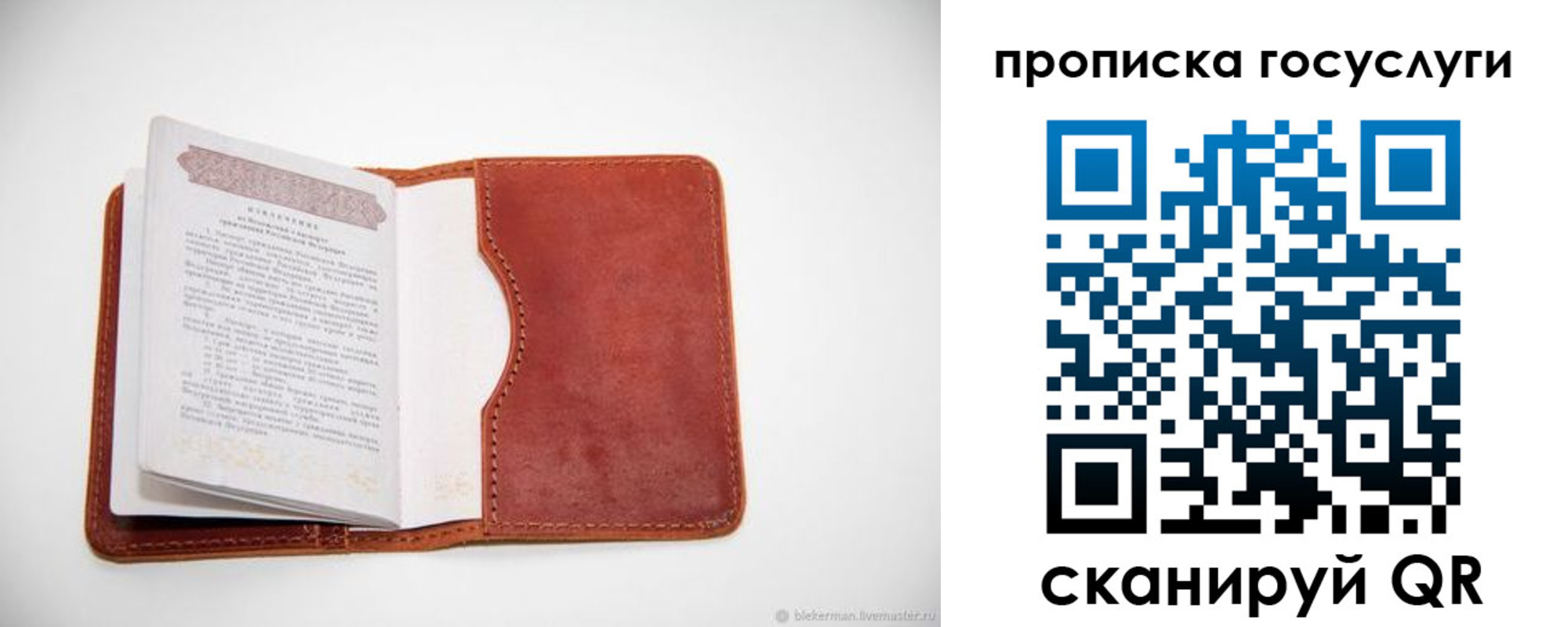 регистрация в Забайкальском крае